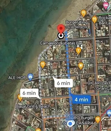 Camino S Palm